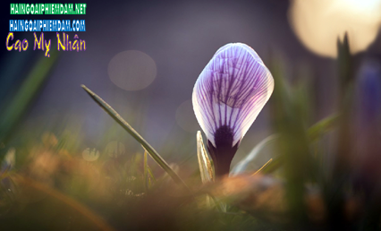 636525885104125938zzzssssss