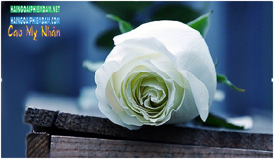 636685807697378446zzzz1111