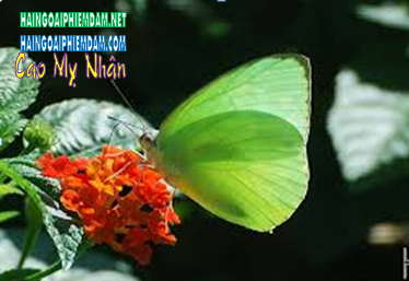 636764526020881821zzzzz