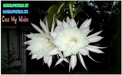 636767826875394441ZZZZZAA