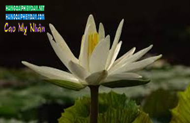 636771318560486774zzzzzzzzzzz