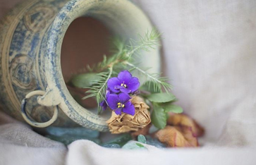 637075574218071857zzaq12