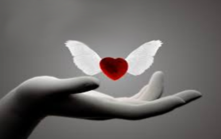 637101501767012168zzaswq