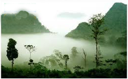 637147728329924049zzxsa