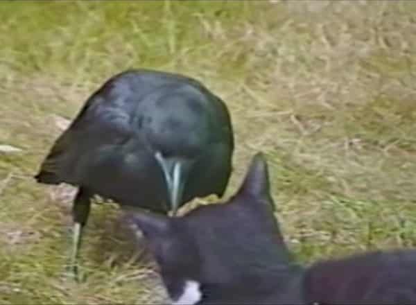 637240646479413708zzzzz