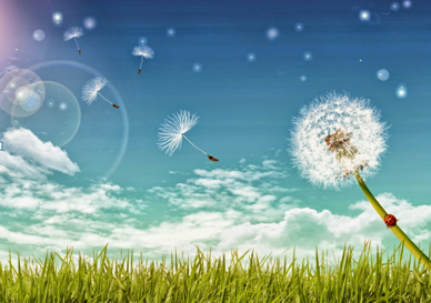 637308470064916147zzzaaaxxx